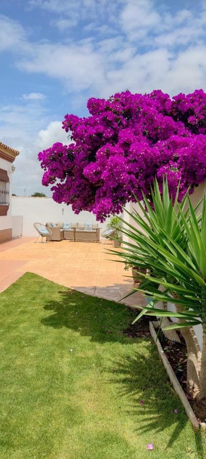 Chalet Hercules La Barrosa 奇克拉纳－德拉弗龙特拉 外观 照片